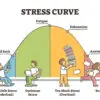 The Paradox of Stress: Its Dual Role in Success and Failure in the Workplace
