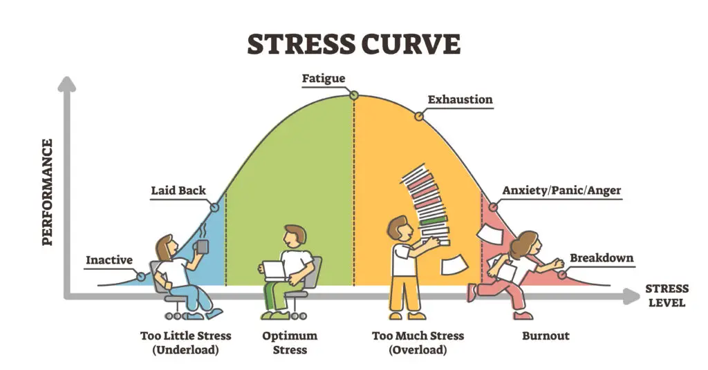 The Stress Curve