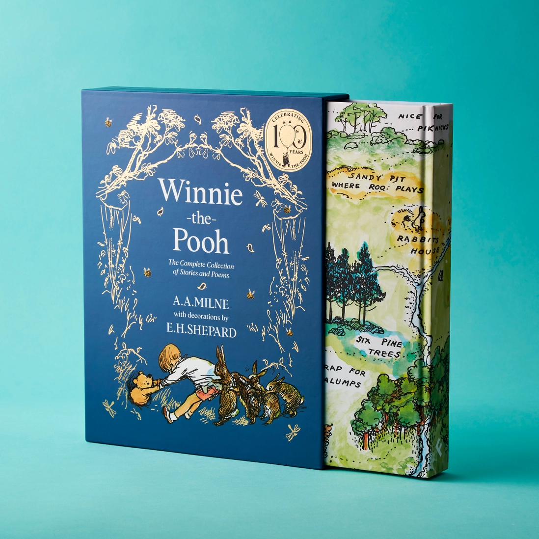 Winnie the Pooh Book with Illustrations